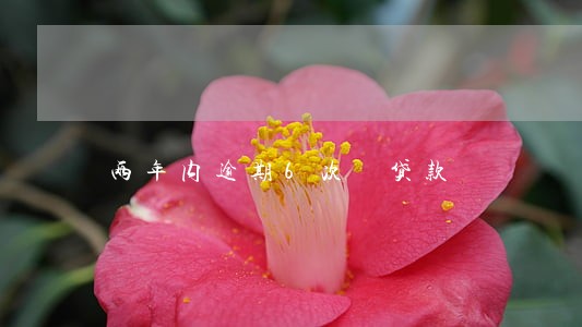 两年内逾期6次 贷款 两年内逾期6次 贷款